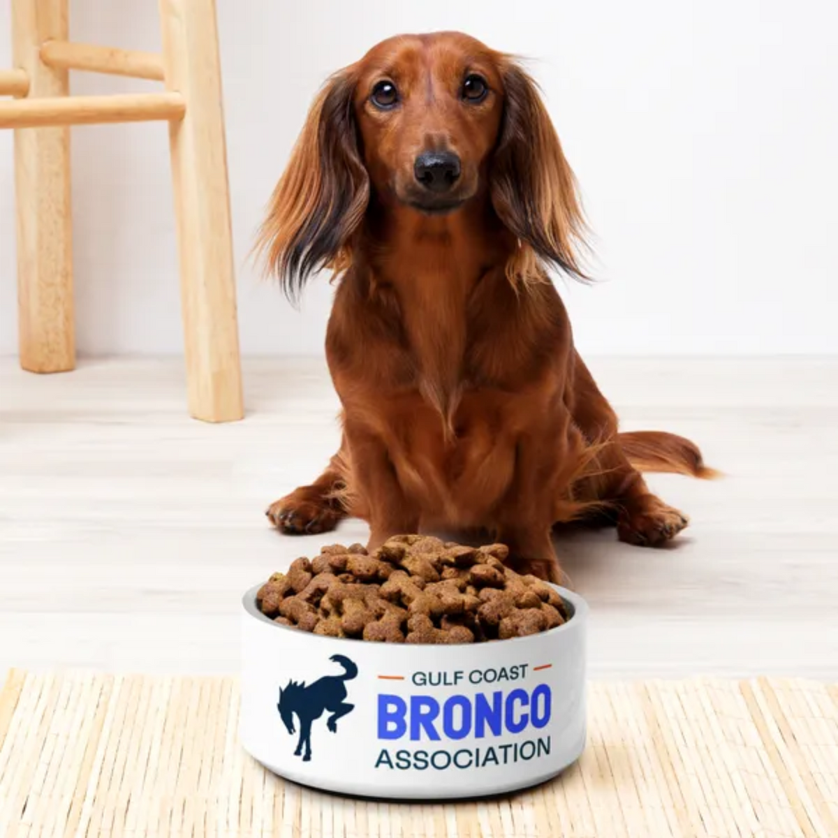 Gulf Coast Bronco Association Dog Bowl Main image