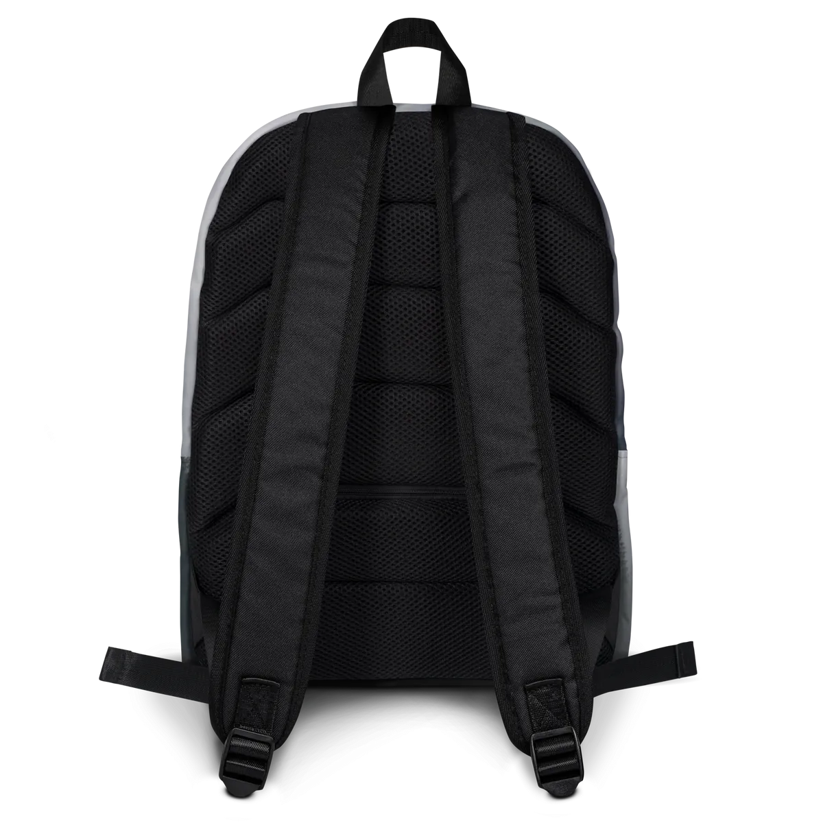 Alaska Broncos backpack