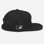 San Diego Broncos branded Pony Snapback