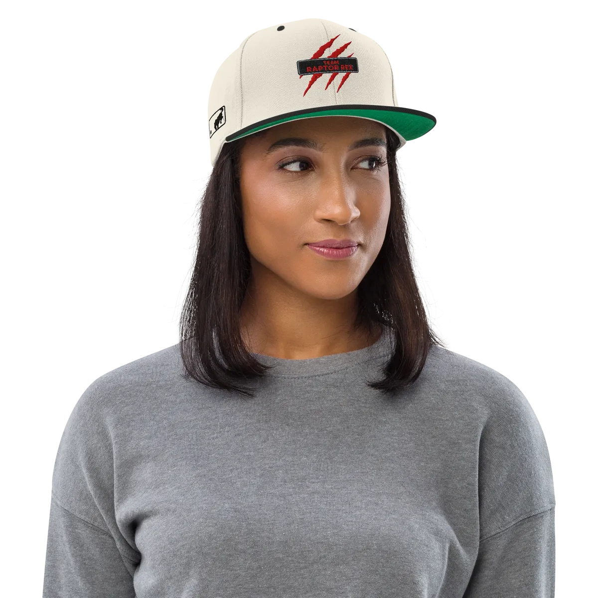 Team Raptor Rex Snapbacks