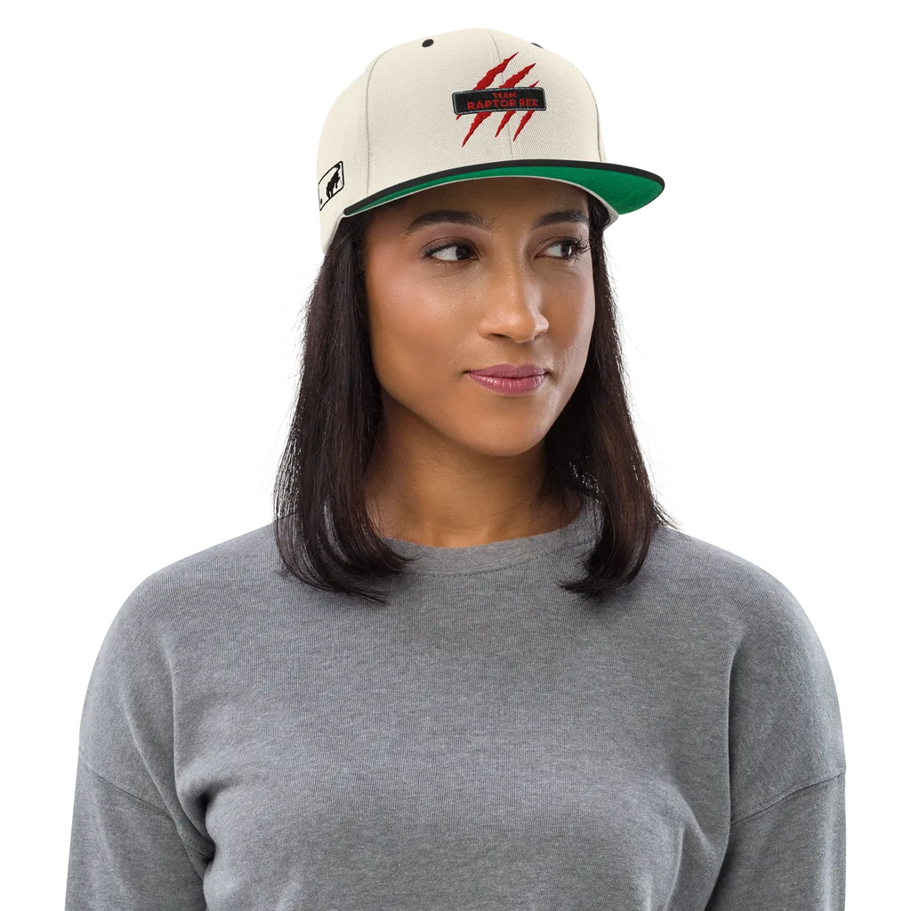 Team Raptor Rex Snapbacks