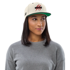 Team Raptor Rex Snapbacks