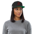 Team Raptor Rex Snapbacks
